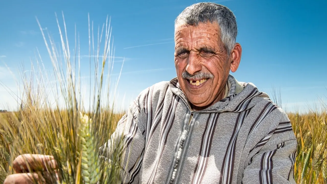 ICARDA Scientists Cultivate Drought-Resistant Wheat in Morocco Amid Severe 6-Year Drought