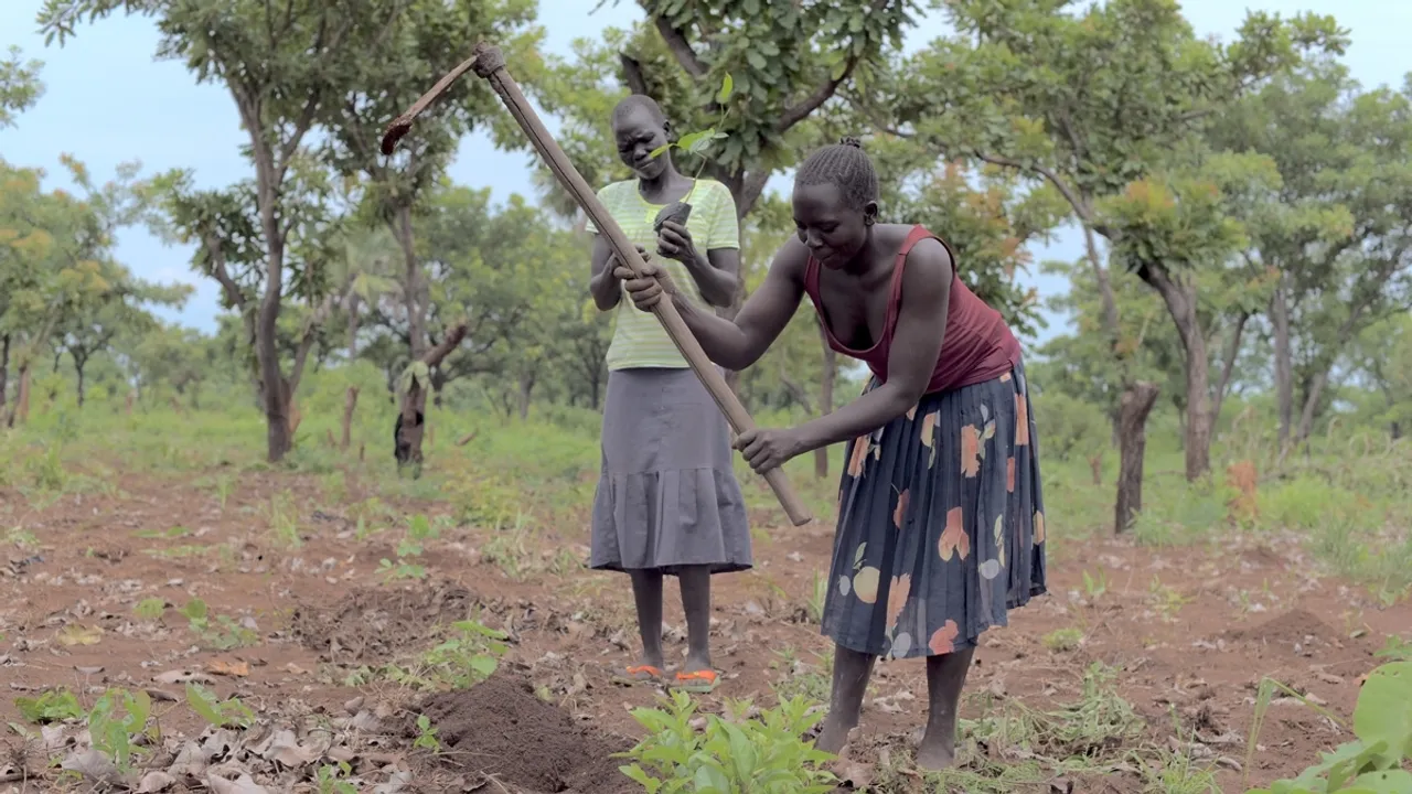 Mpigi District Residents Launch Campaign to Replant Indigenous Trees and Protect Environment