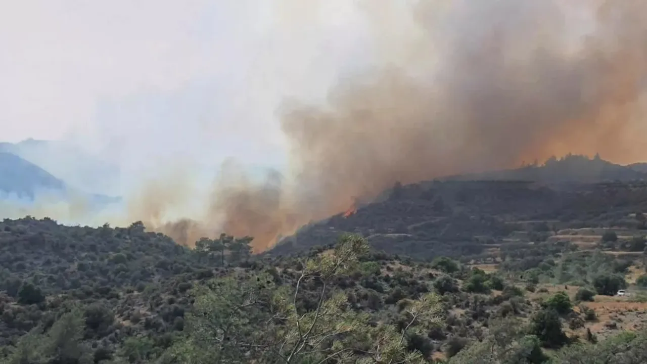 Fire Breaks Out in Cyprus Forest, Prompting Investigation