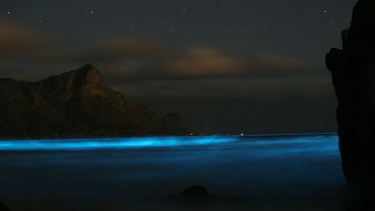 Bioluminescent 'Blue Tears' Illuminate Pingtan Island's Coastline