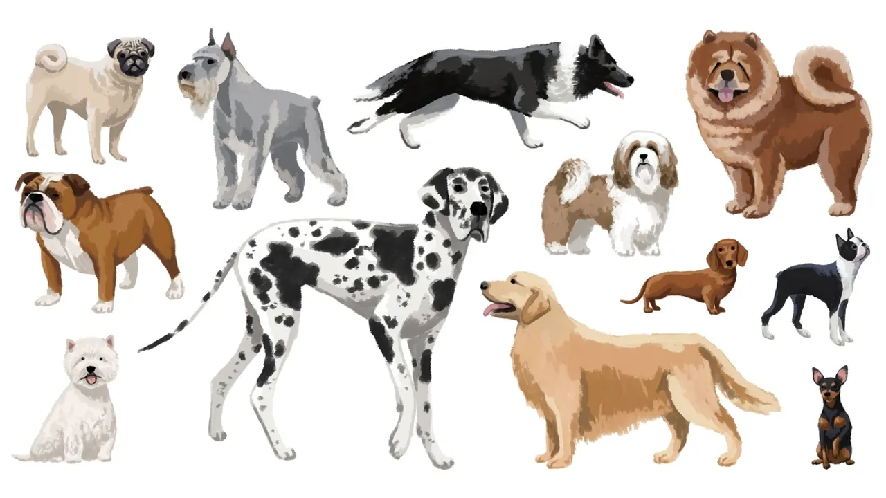 NYT Strands #70 Puzzle Unleashes Canine Crossword Fun