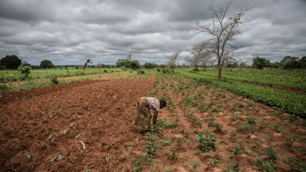 UN Allocates $5.5 Million to Zambia for Drought Relief Efforts