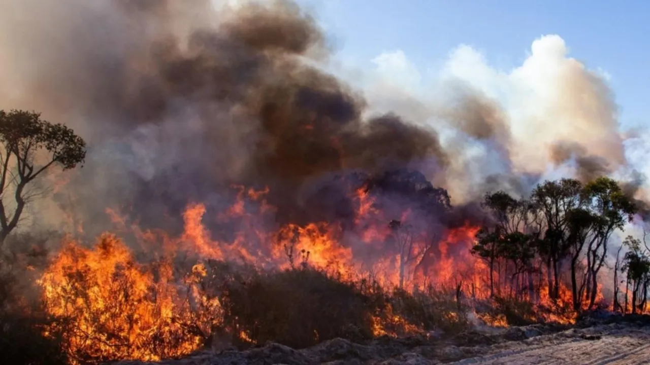 Bushfire Emergency Warning Issued for Walpole Wilderness Area in Western Australia