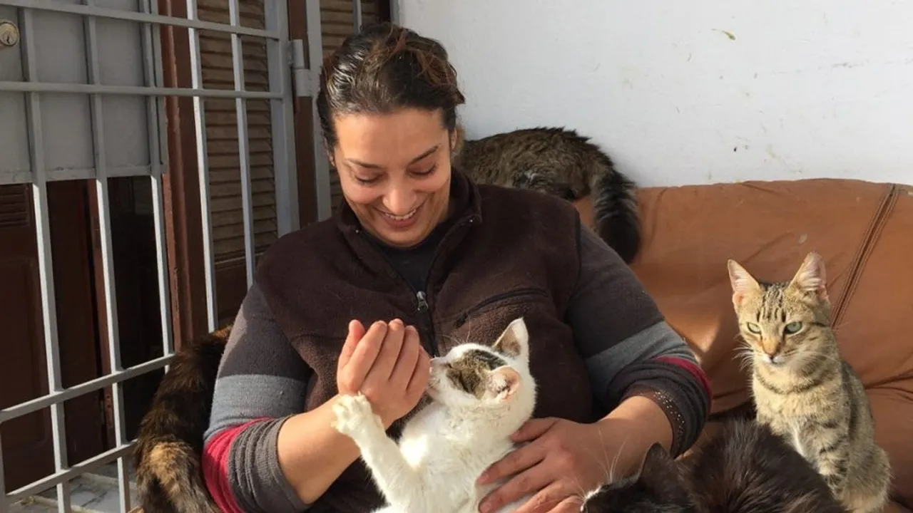 Tunisian Woman Rescues Over 400 Stray Cats and Dogs