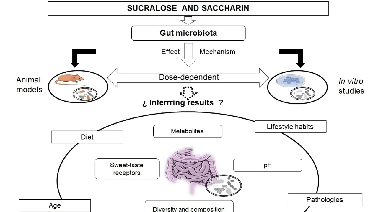 Saccharin Sweetener Raises Health Concerns Despite Widespread Use