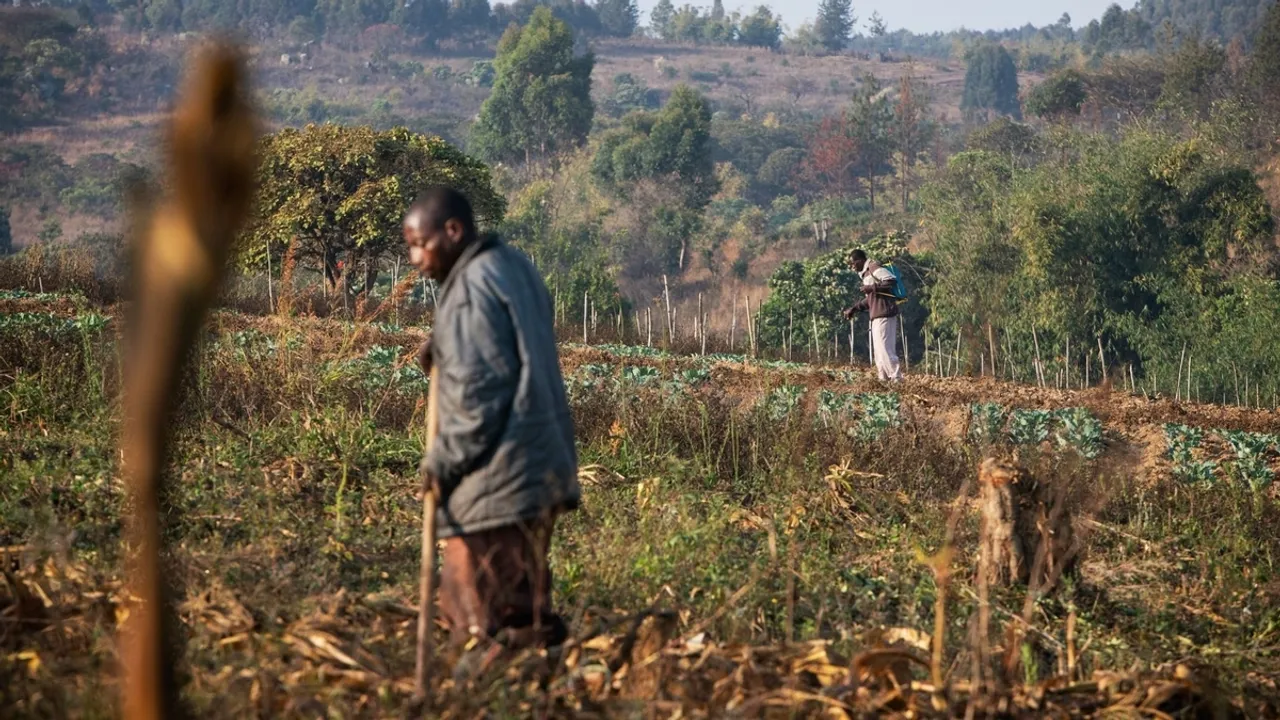 Tanzanian Farmers Embrace Sustainable Agriculture Practices