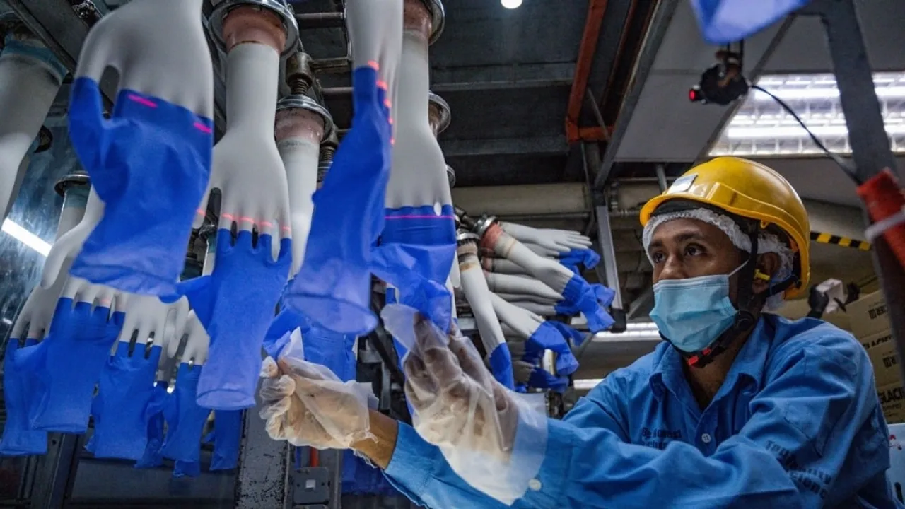 Malaysian Rubber Glove Industry Poised for Rebound Amid Global Demand Surge