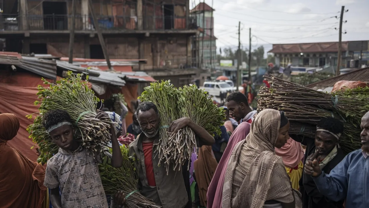 Khat Prices Plummet in Ethiopia, Impacting Traders and Farmers