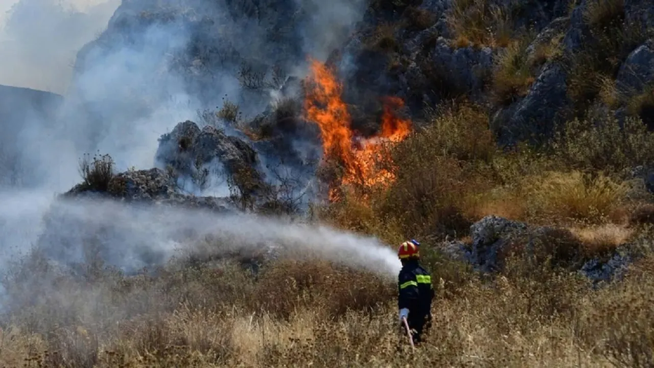 Firefighters Battle Blaze in Limassol State Forest, Cyprus