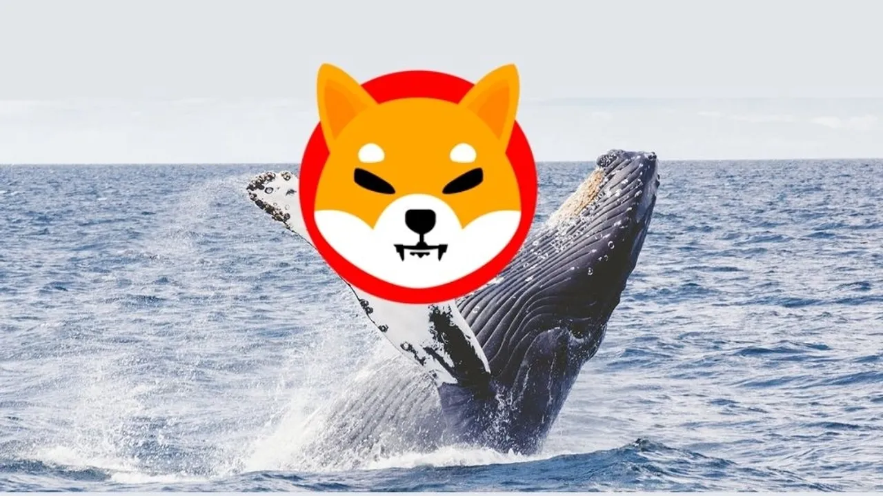 Shiba Inu Surges Amid Bullish Sentiment and Whale Activity