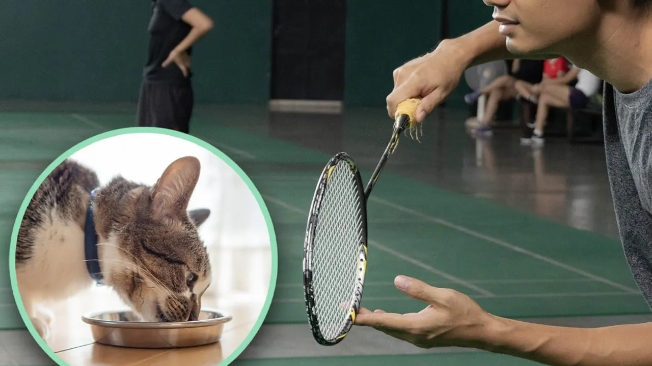 Chinese Court Orders Man to Pay $33,000 After Badminton Player Paralyzed Tripping on Cat He Fed