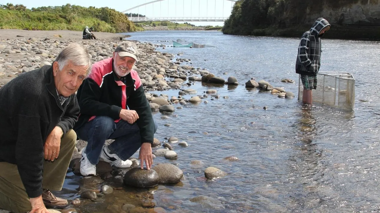 Taranaki's Environmental Restoration: 50 Years Since the Discovery of White Trout