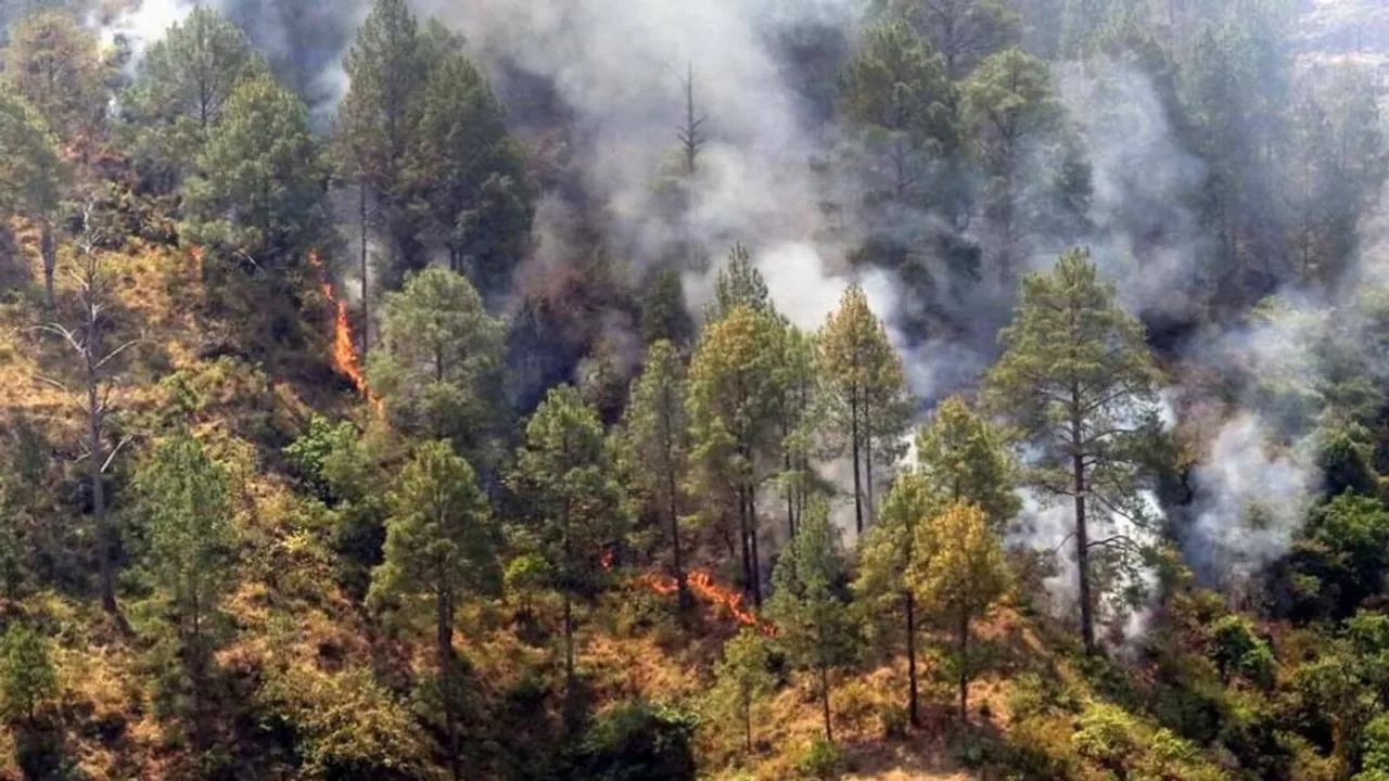 Forest Fires Rage in Uttarakhand, India, Destroying Over 33 Hectares in 24 Hours