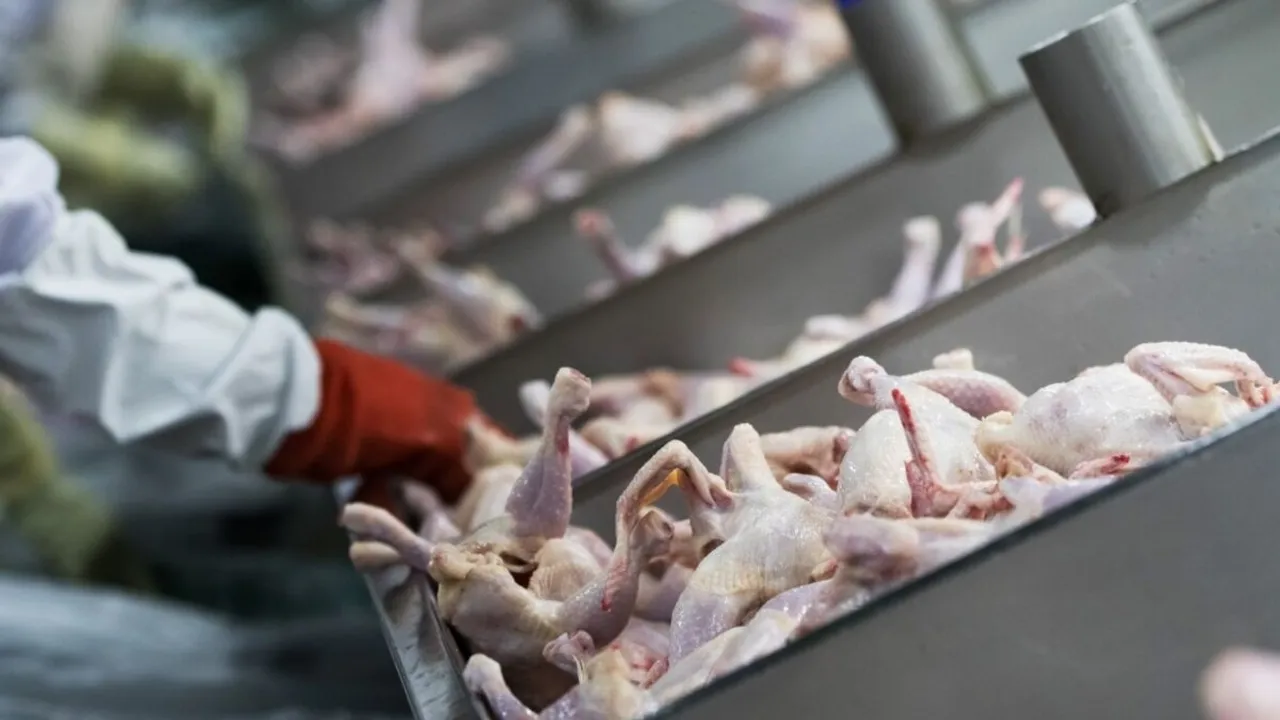 South Africa Maintains Anti-Dumping Duties on US Chicken Imports