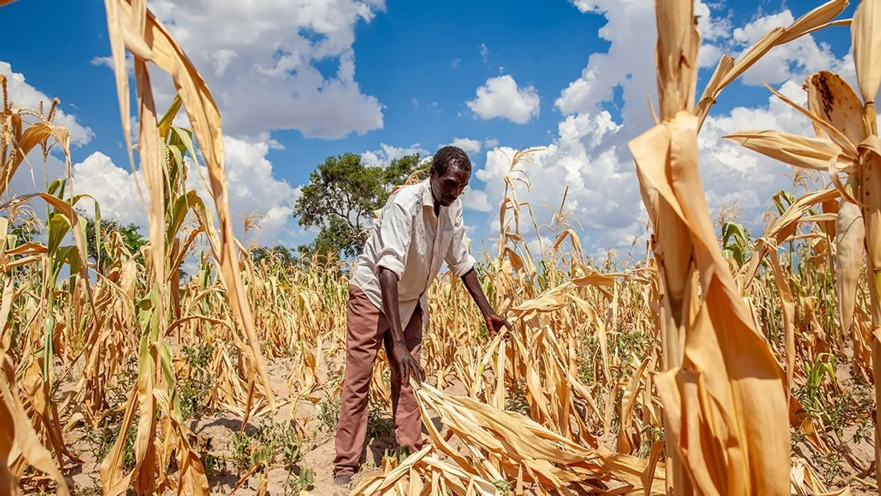 WFP Seeks Funds to Combat Severe Drought in Southern Africa