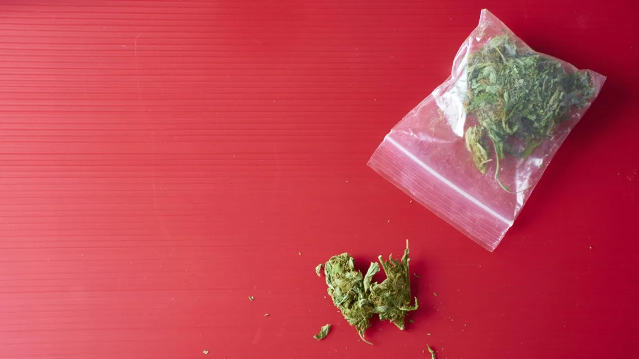 Deadly Synthetic Marijuana Emerges in Croatia, Threatens to Spread to Serbia