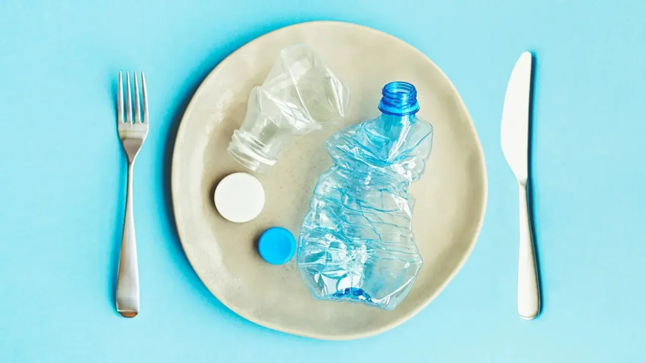 6 Foods Found to Contain Plastic Particles, Raising Health Concerns