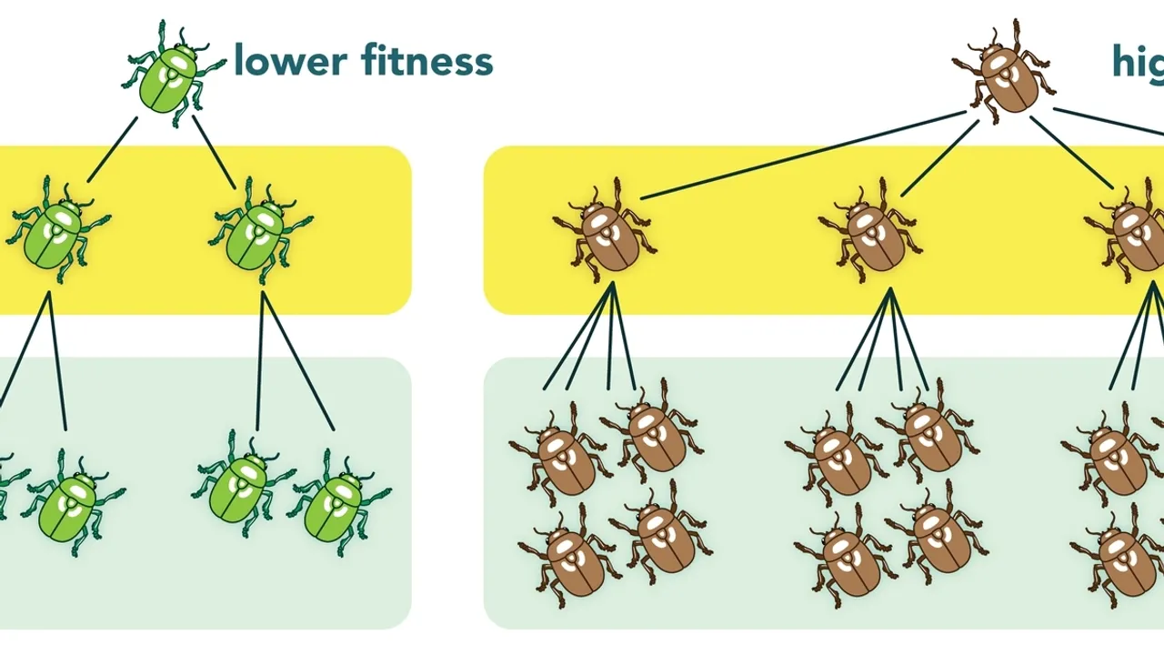 Researchers Highlight Challenges in Measuring Biological Fitness Despite Its Importance