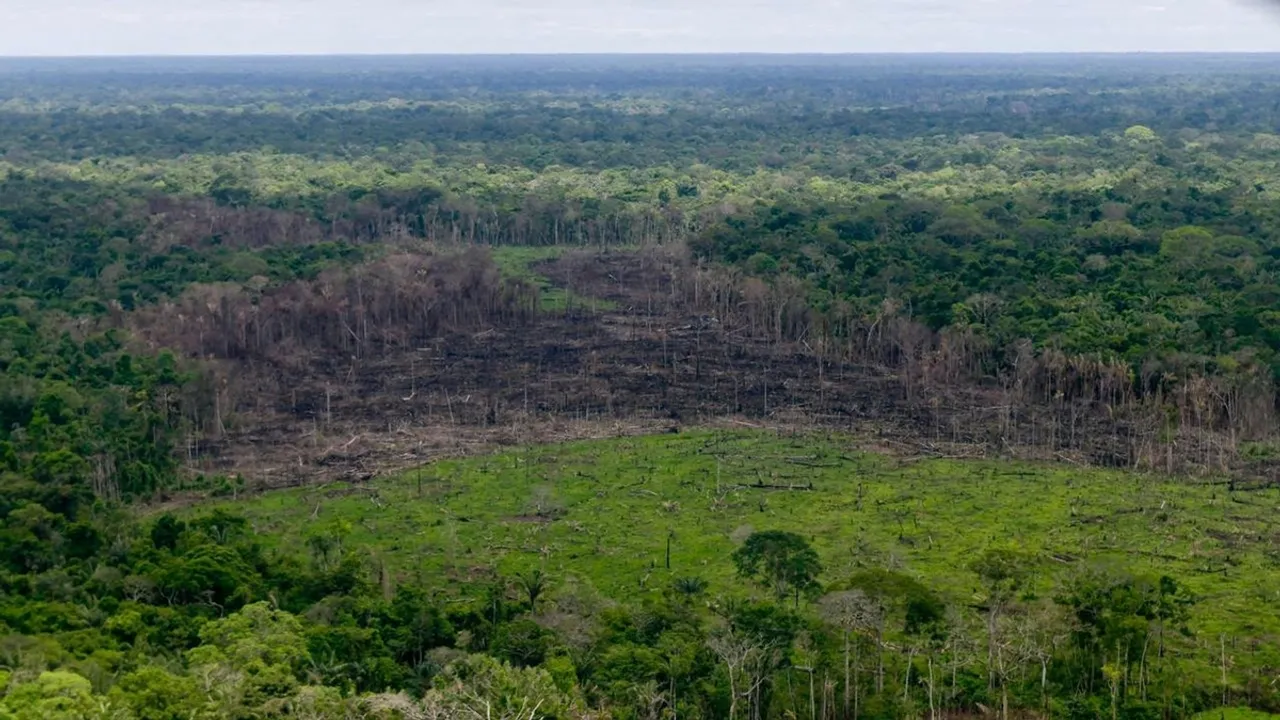 Colombia Launches $30 Million Fund to Protect Amazon's Chiribiquete National Park