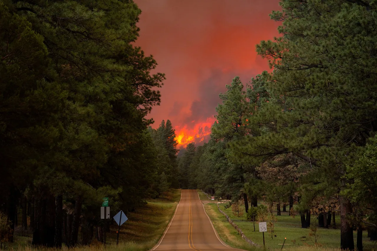 The devastating wildfires in Ruidoso, New Mexico, have destroyed or damaged more than 500 structures and consumed 20,000 acres of land. 