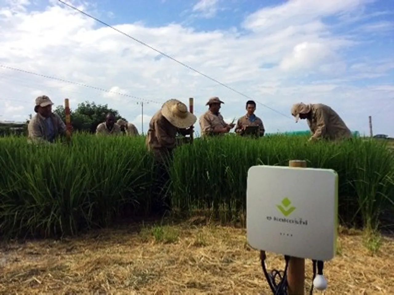Ericsson, PS Solutions and CKD dig into agricultural IoT