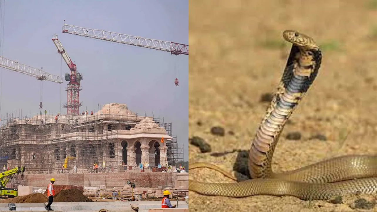 Ayodhya Miraculous Snakes Before Ram Temple Consecration