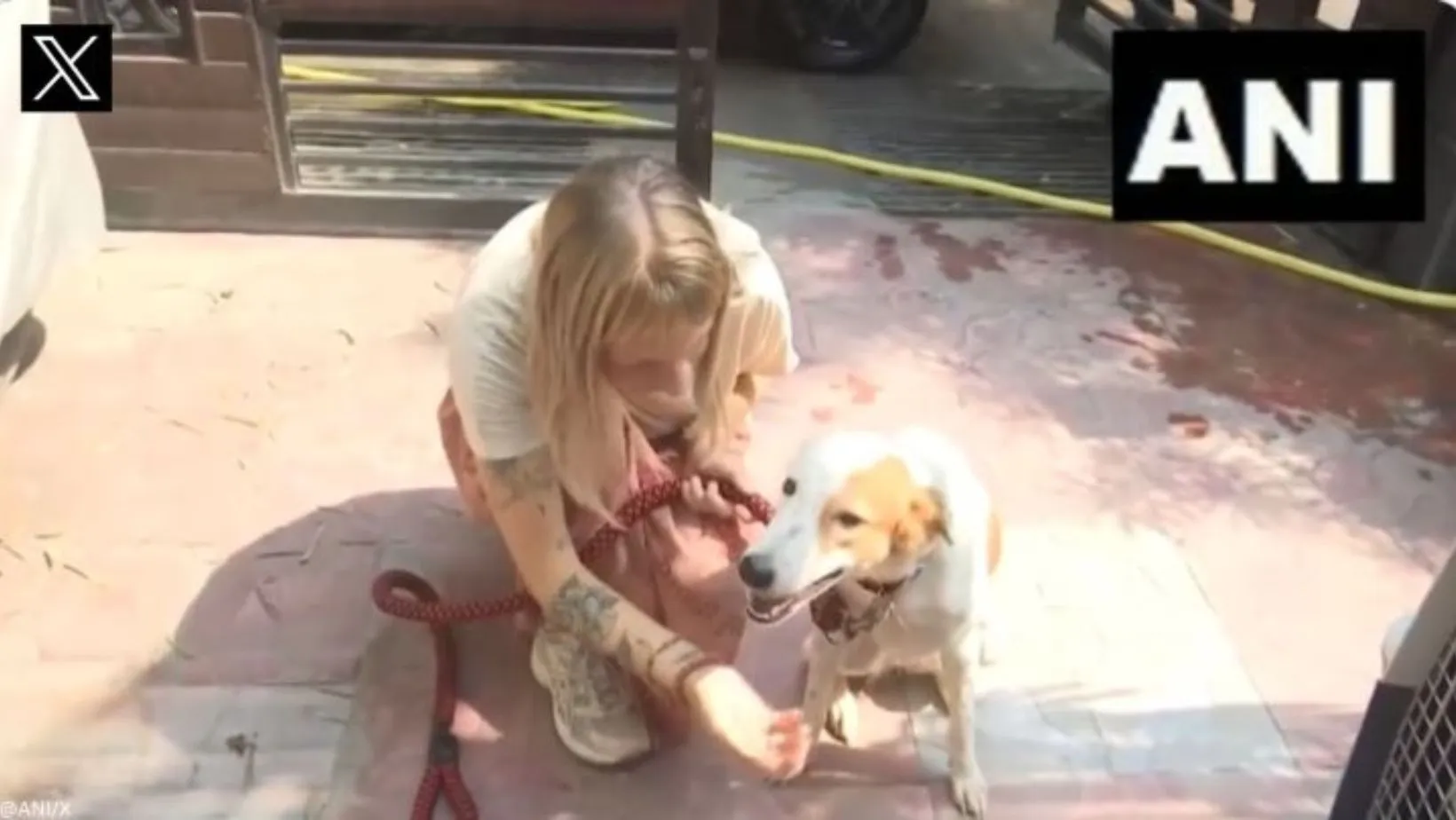Dutch woman adopts indian dog.jpeg