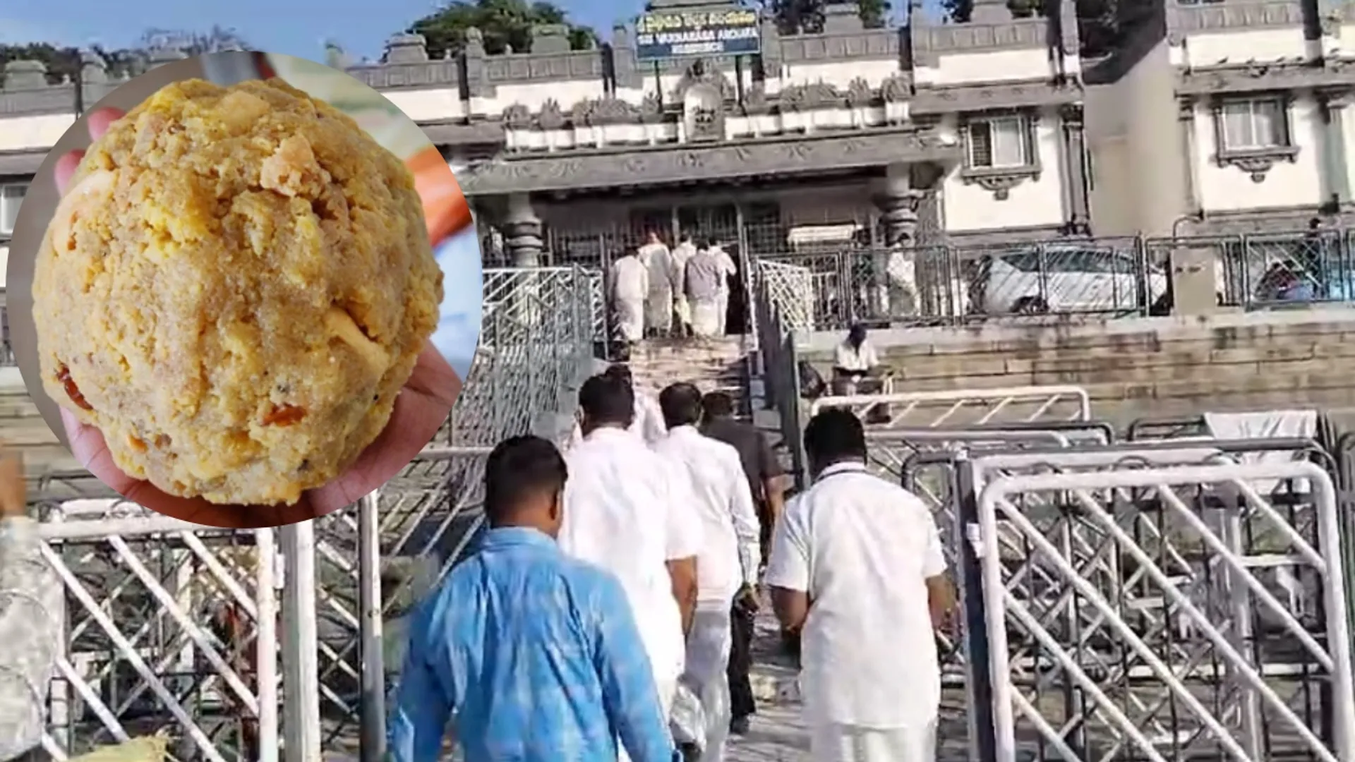 तिरुपति लड्डू मामले में एक गिरफ्तार, 