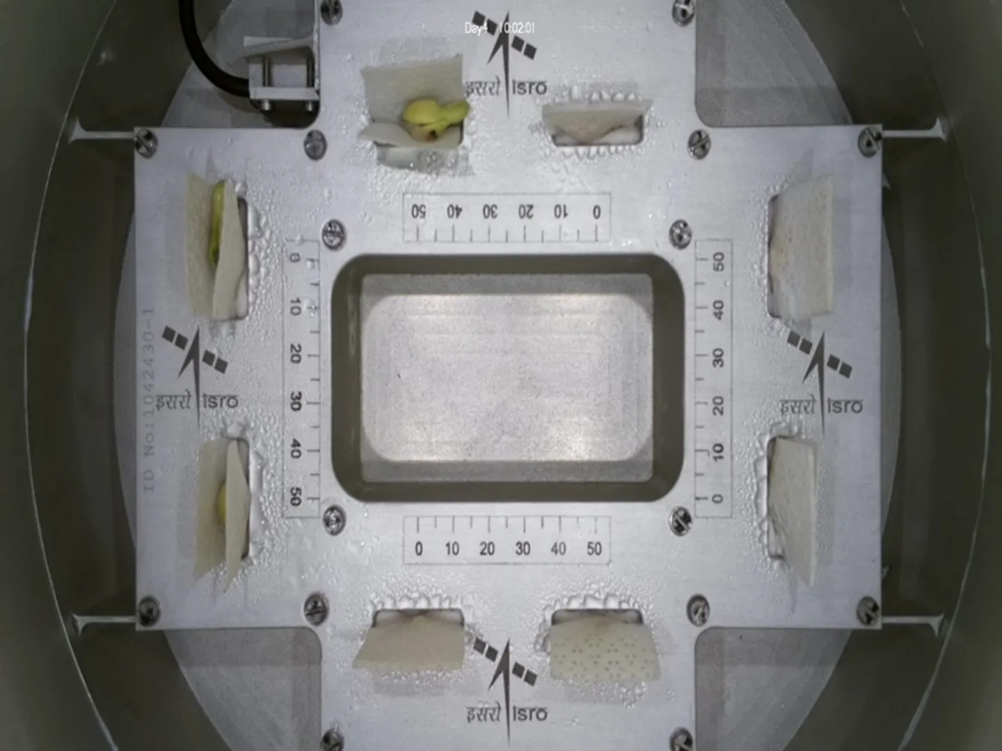 ISRO successfully germinates cowpea seeds in space in 4 days leaves will come soon