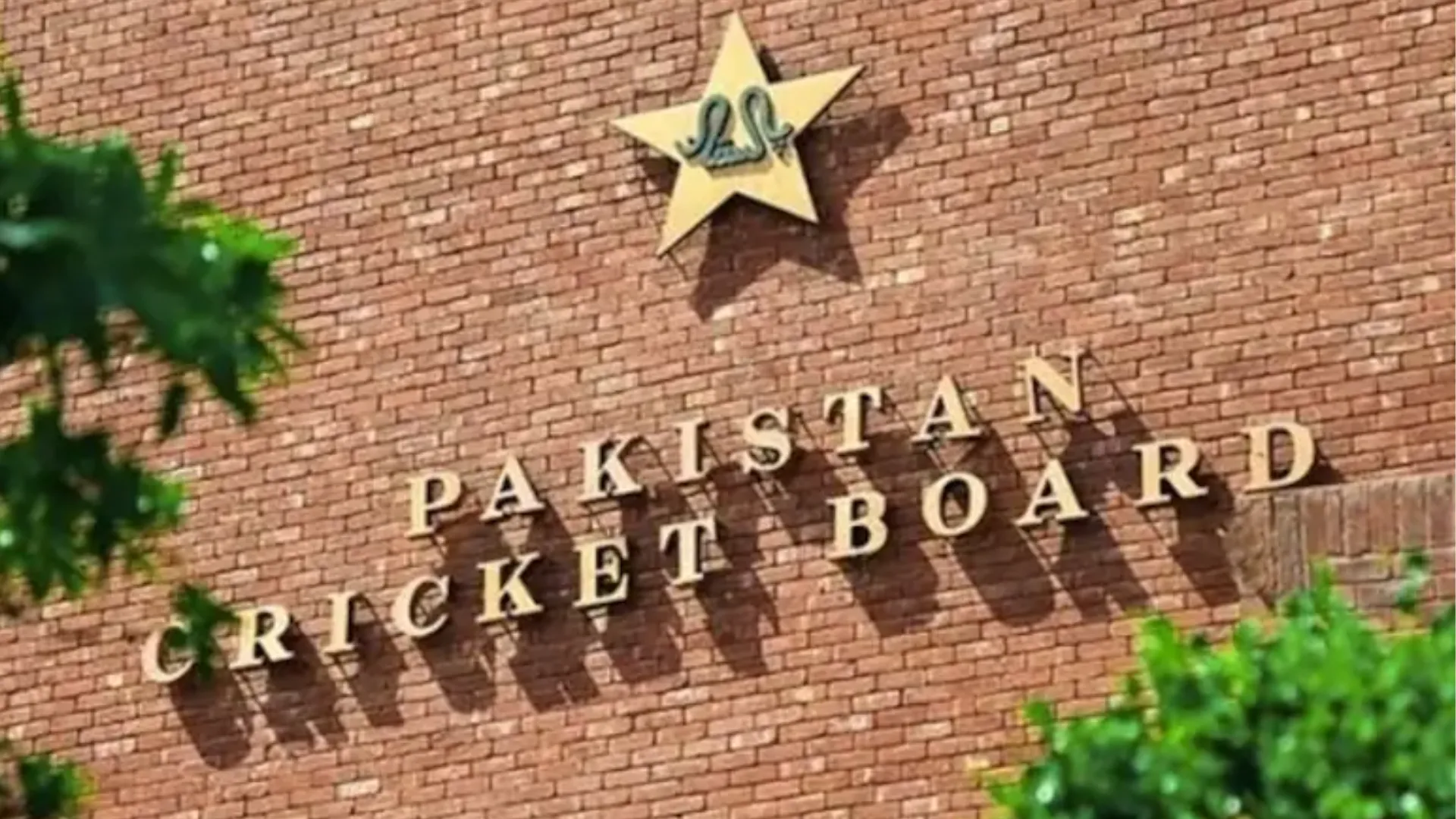 PCB से ज्यादा इस खिलाड़ी की कुछ संपत्ति