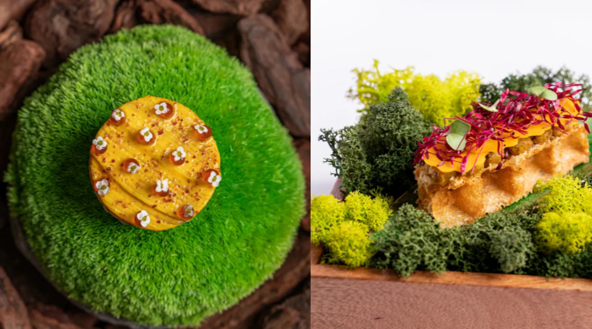 Michelin Guide Dubai (1)