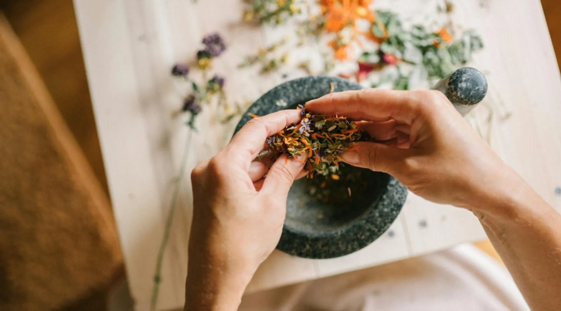 Are Adaptogens Nature's Stress Busters? We Investigate