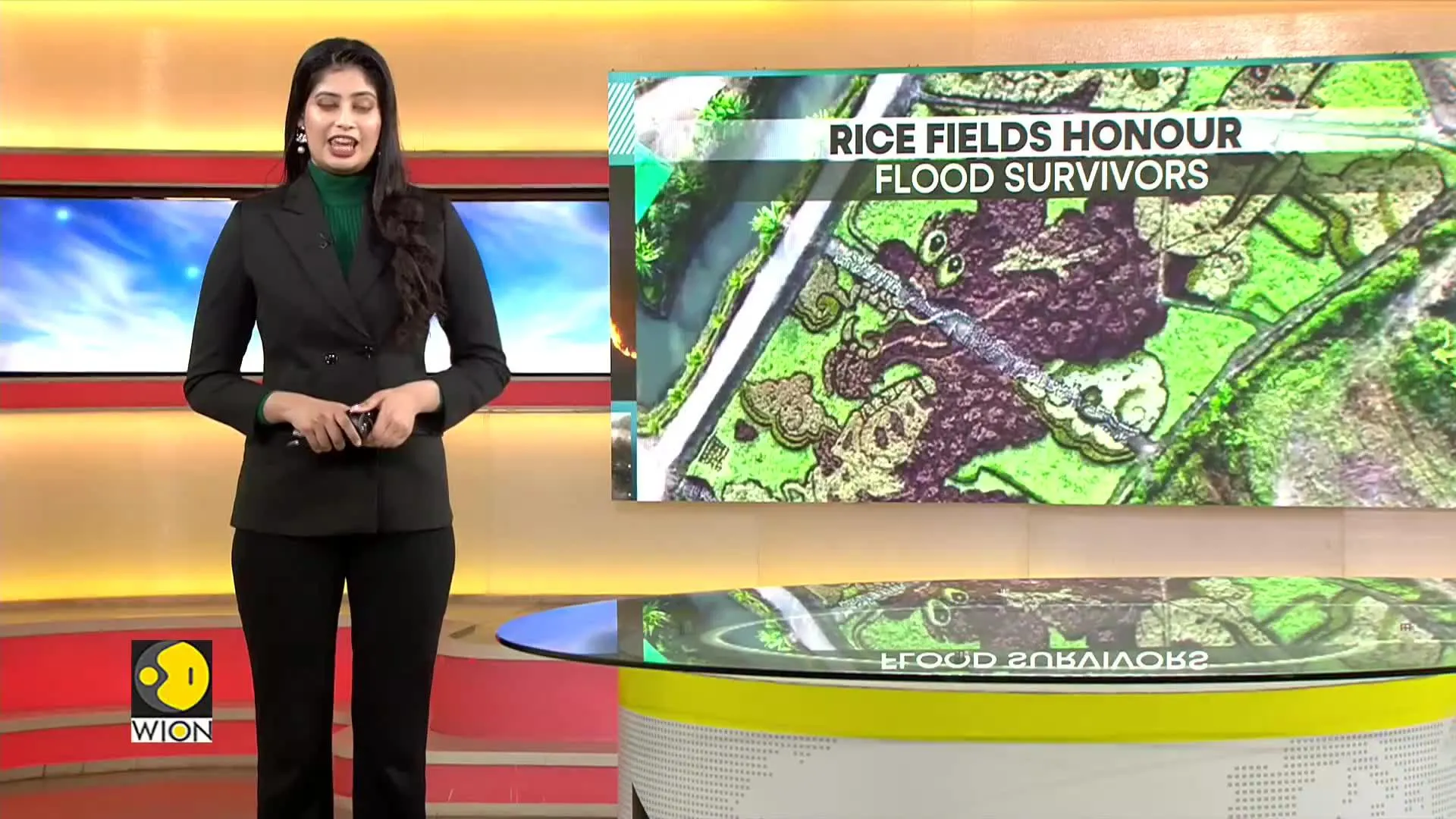 Rice Fields Honour Flood Survivors In Northern Thailand | WION Climate Tracker | World News