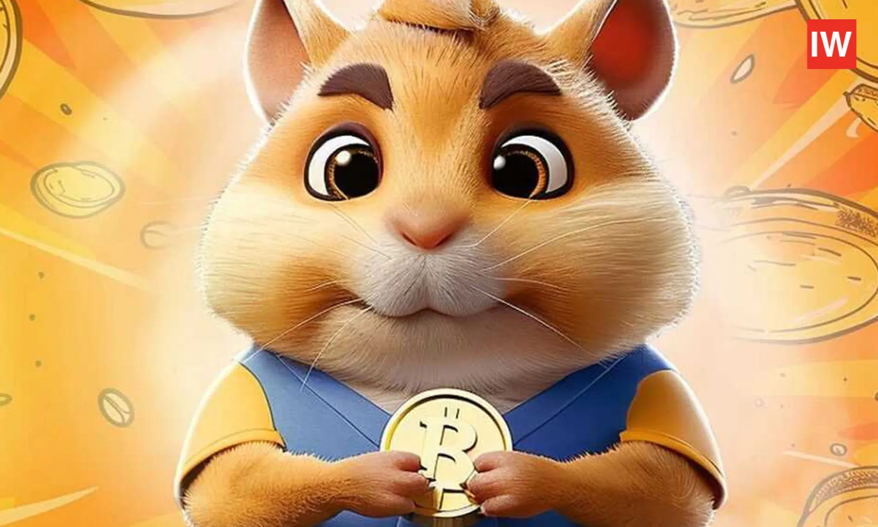 Today's-Hamster