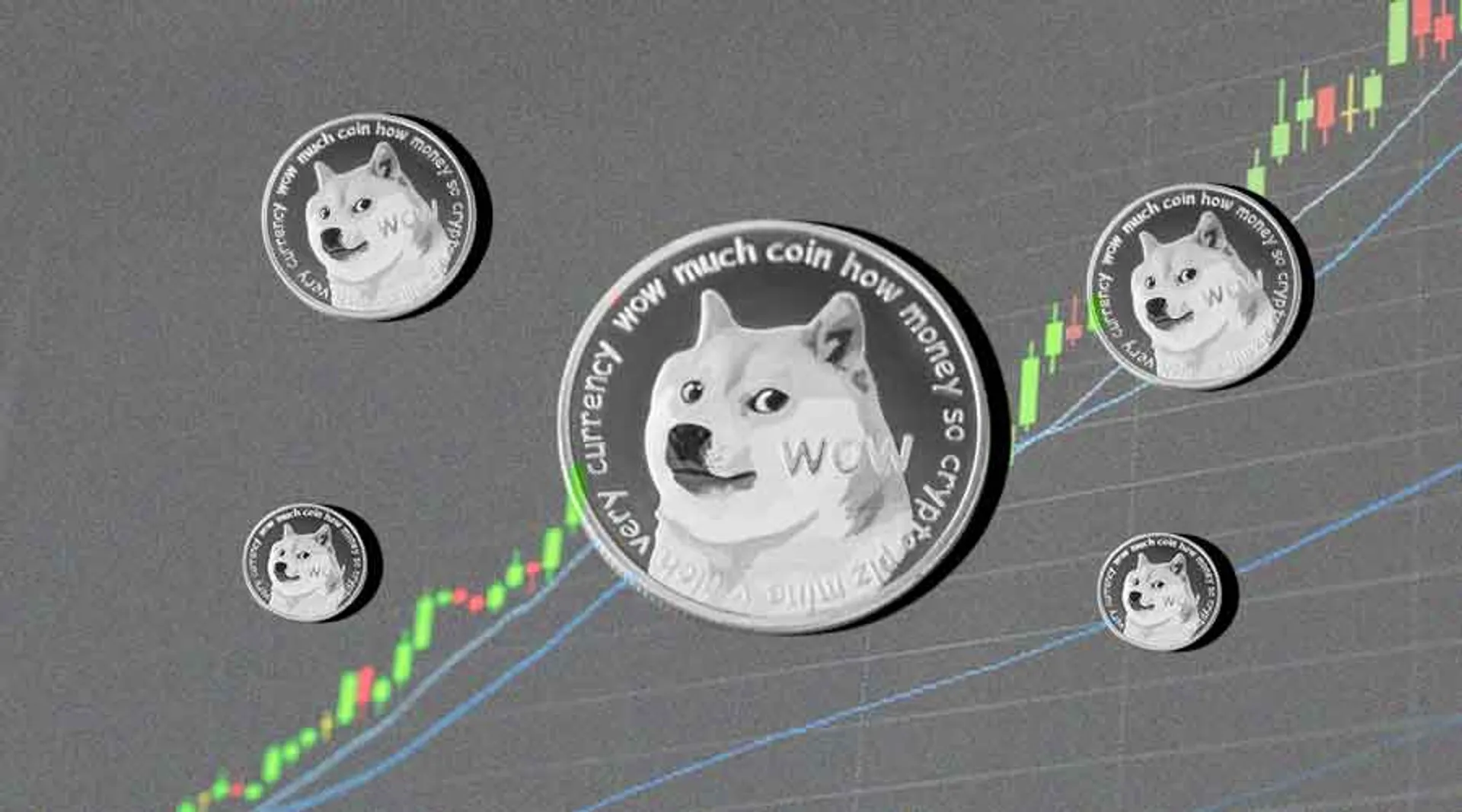 Will Shiba Inu Touch New ATH in 2024?