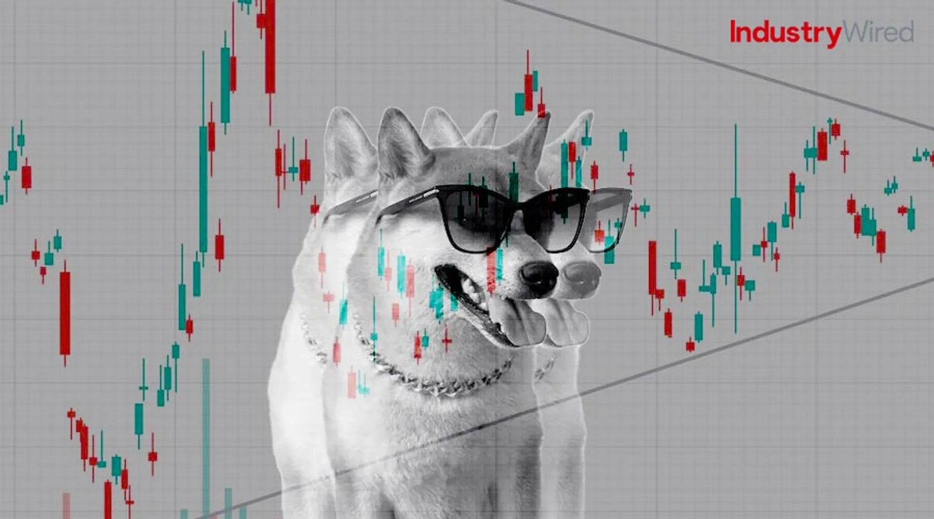 Hype-around-Shiba-Inu-(SHIB)-What's-Next-in-2024