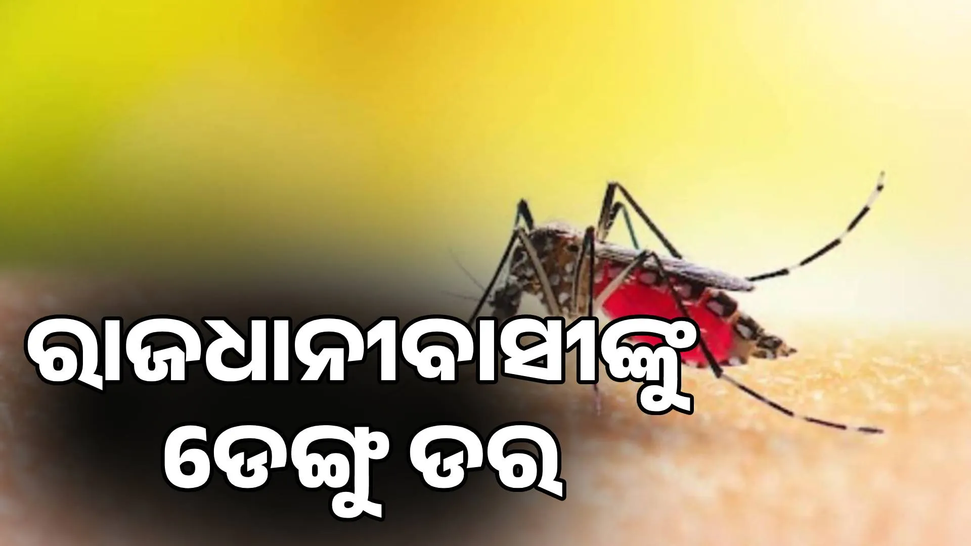 DENGUE BBSR  post image