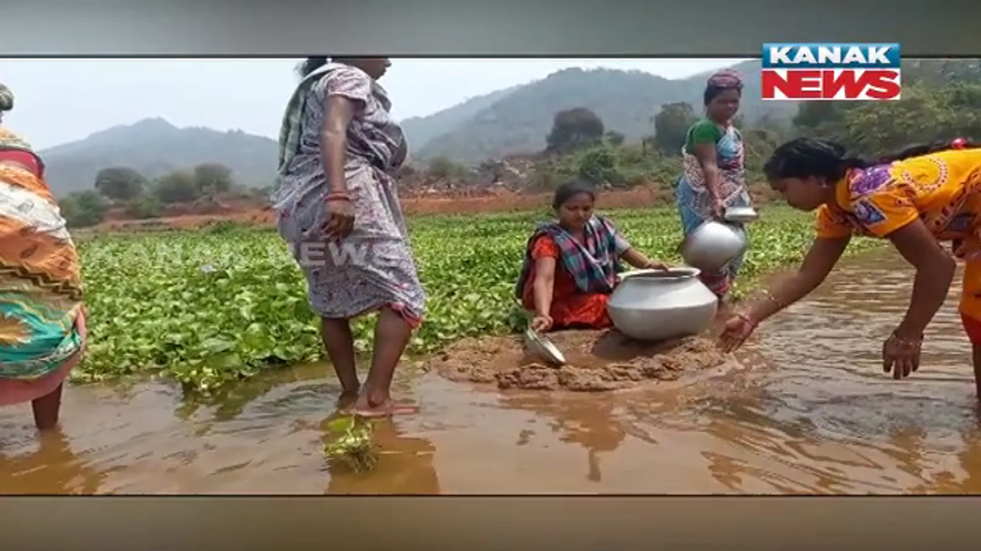 ଅସହାୟ ତାତିରେ ମୁନ୍ଦାଏ ପାଣି ପାଇଁ ସଂଘର୍ଷ । ଶୋଷ ମେଣ୍ଟାଉଛି ନାଗାବଳି ନଦୀର ଦୂଷିତ ଜଳ । post image