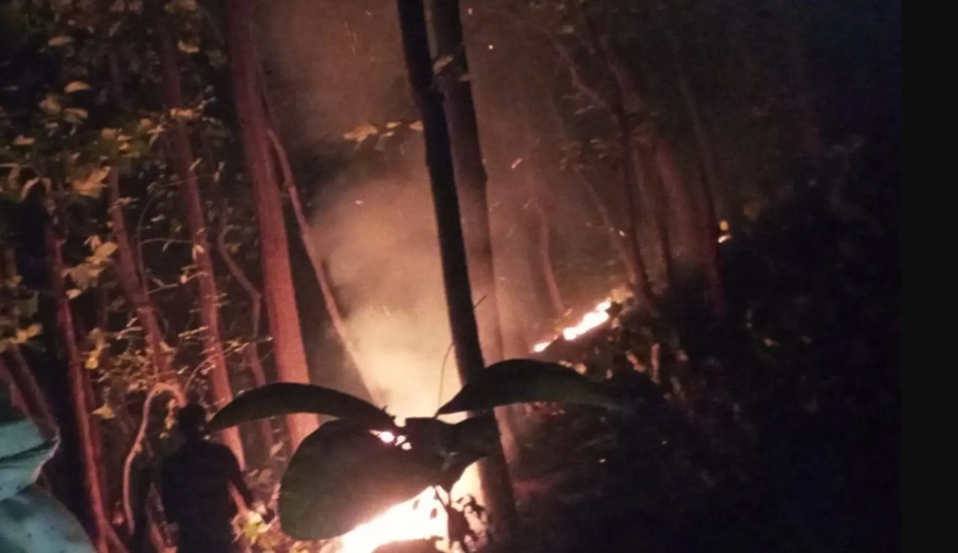 forest fire