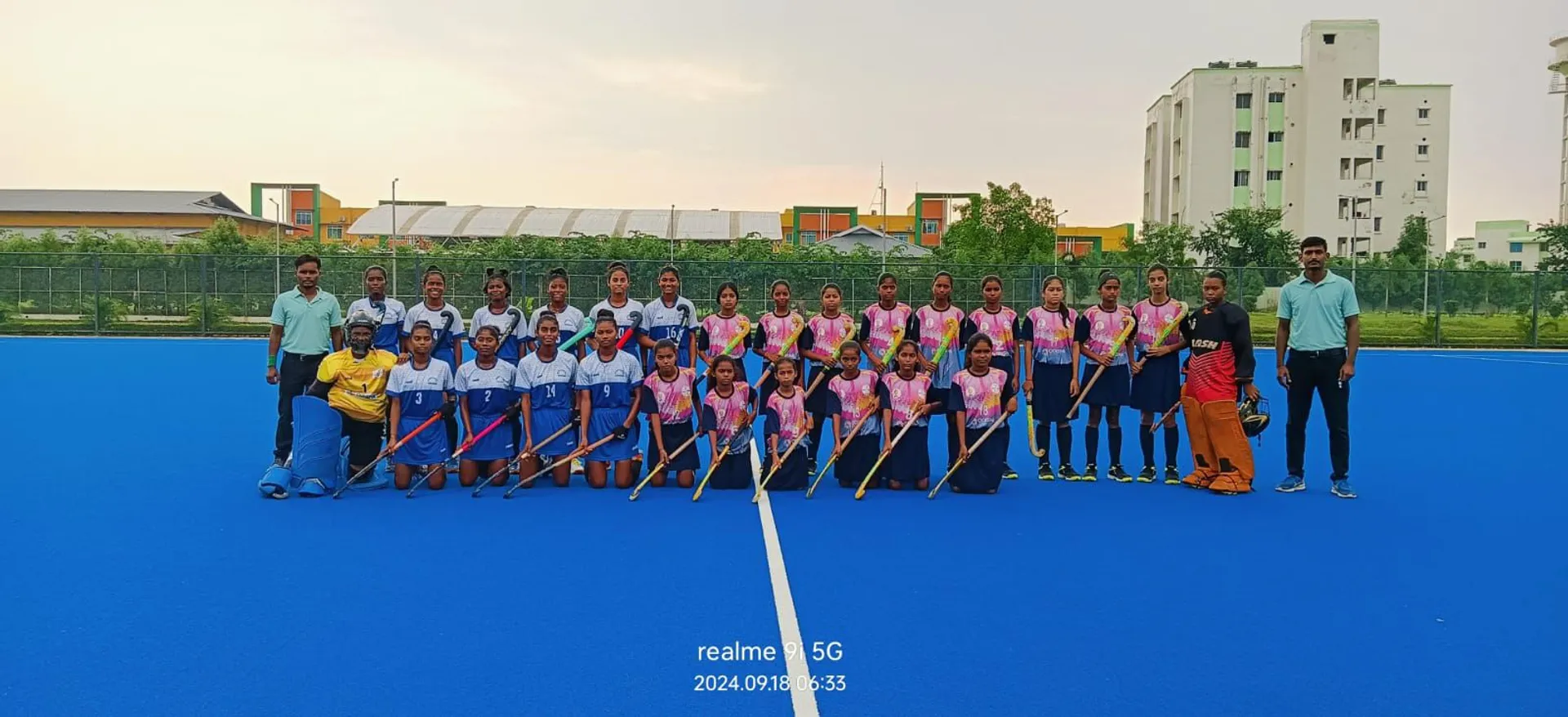 hockey post image