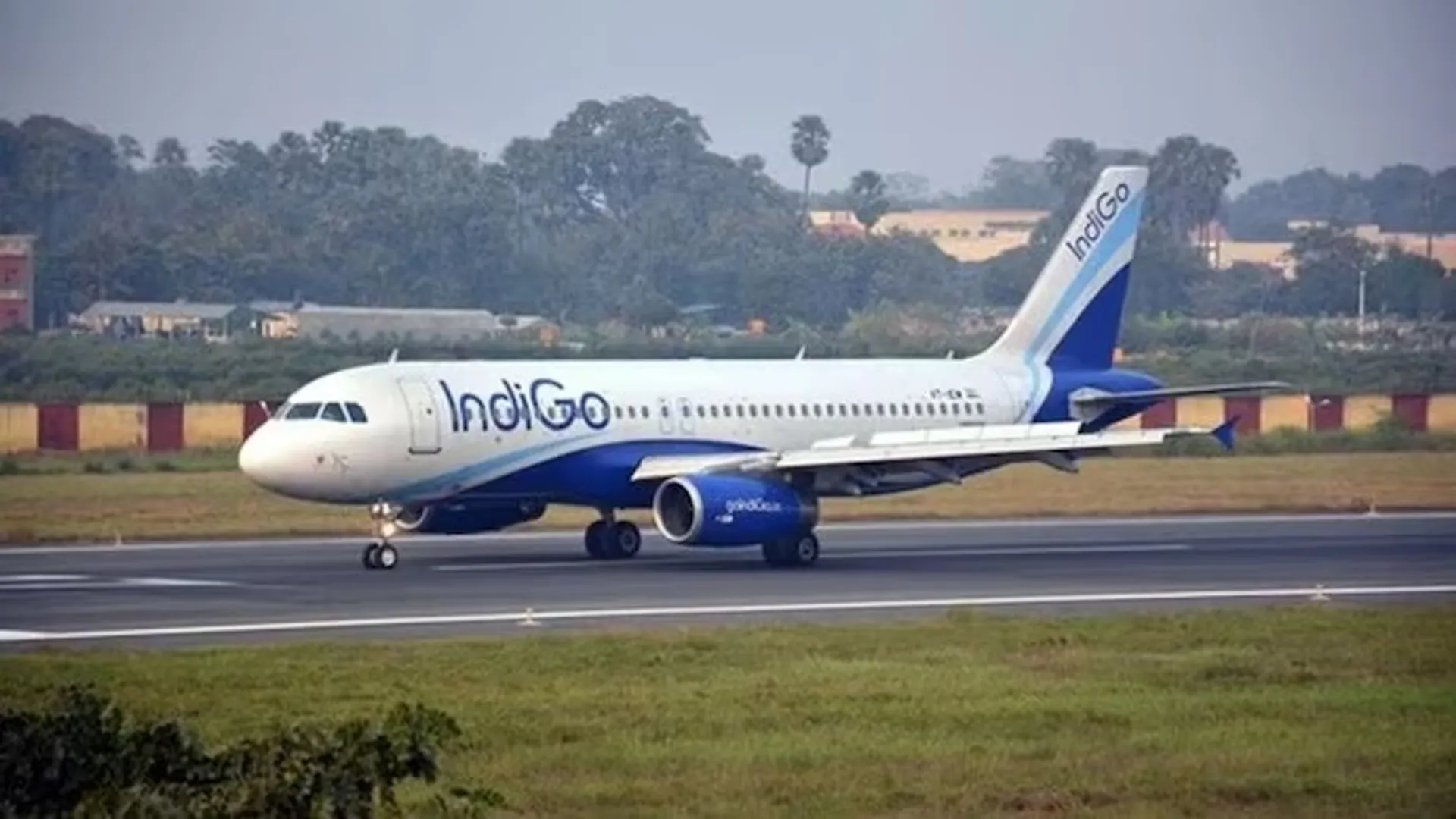 indigo post image