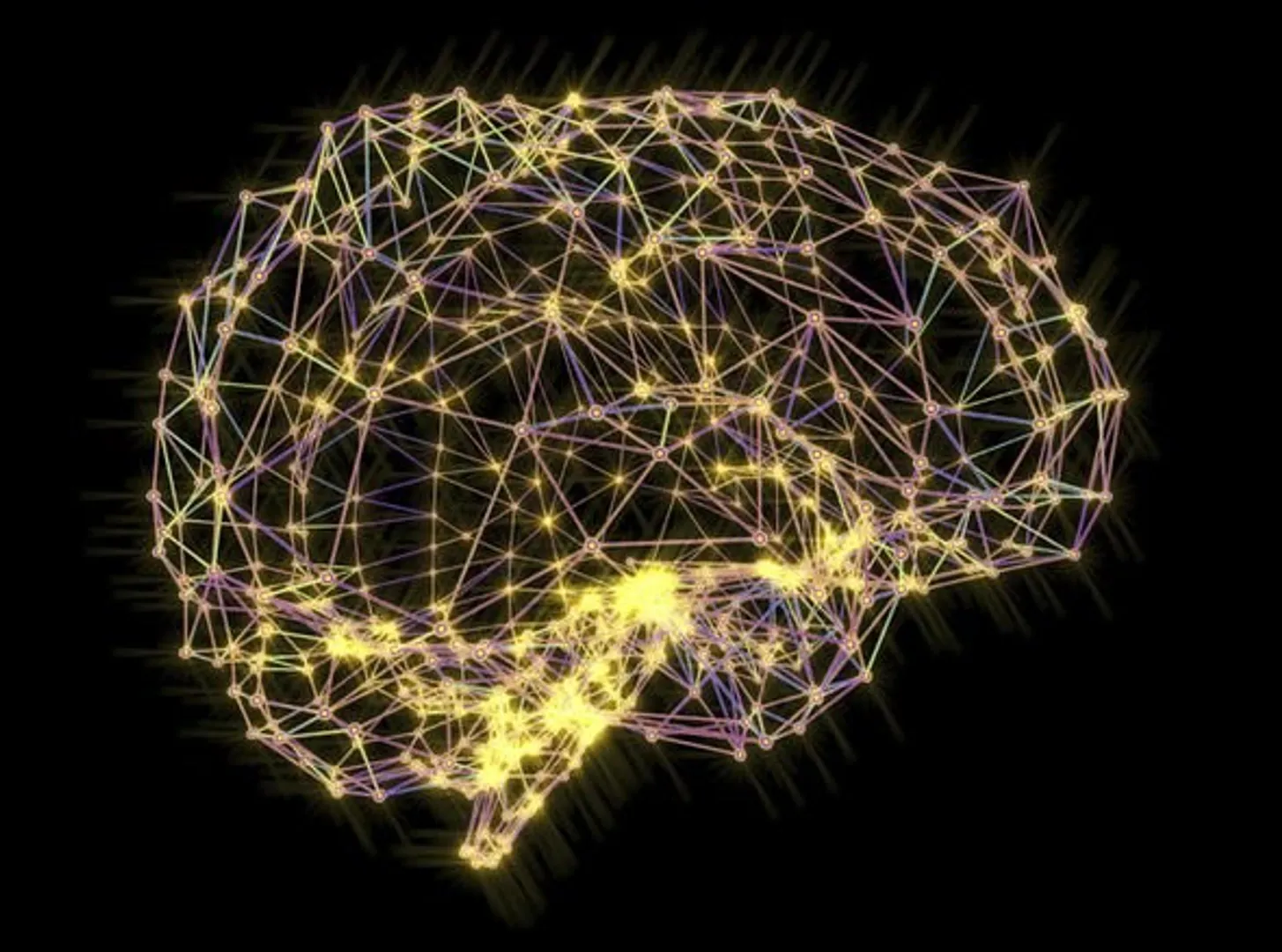 Human Brain