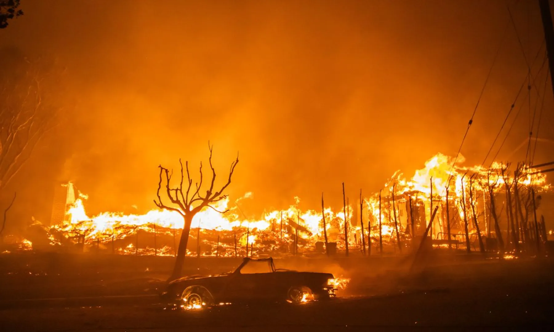 Los Angeles wildfires What’s happening, cause, and impact  Explained