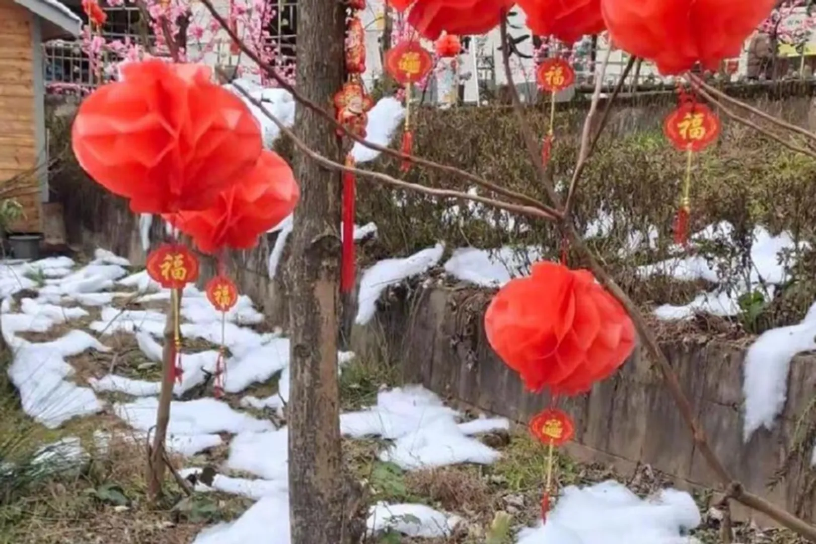 China Fake snow