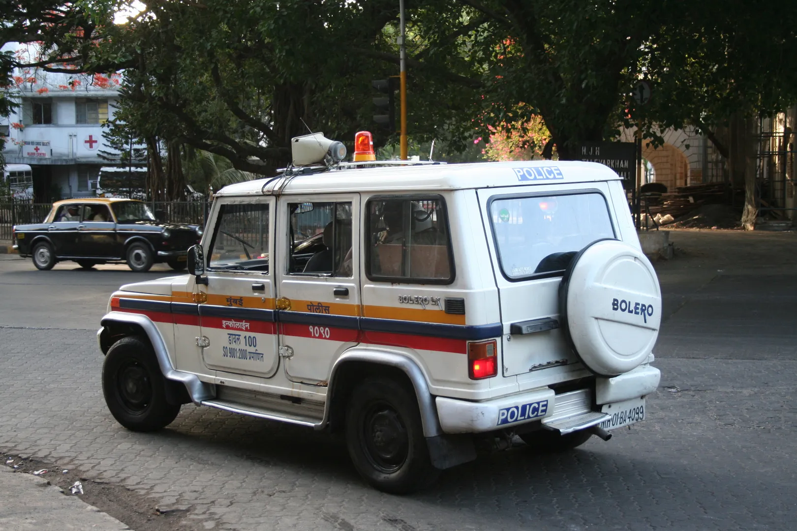 Maharashtra woman attacks neighbours and kids over dog fight; case filed
