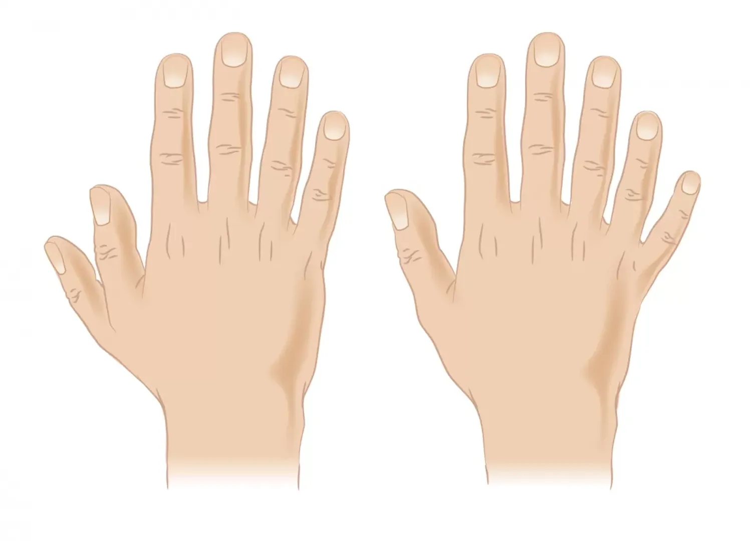 Fingers
