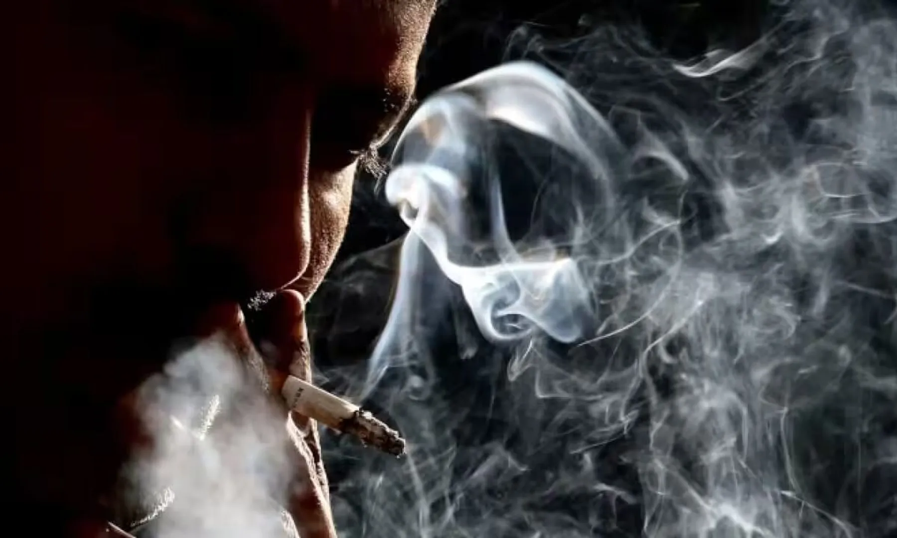  From harmful to helpful: How Tobacco plant could be used for good? post image