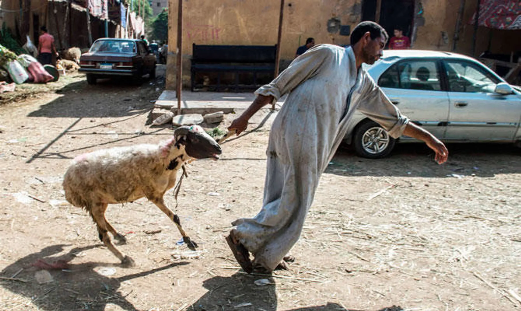 Allow slaughter of animals on Eid with restrictions: Maharashtra Congress orders Shiv Sena
