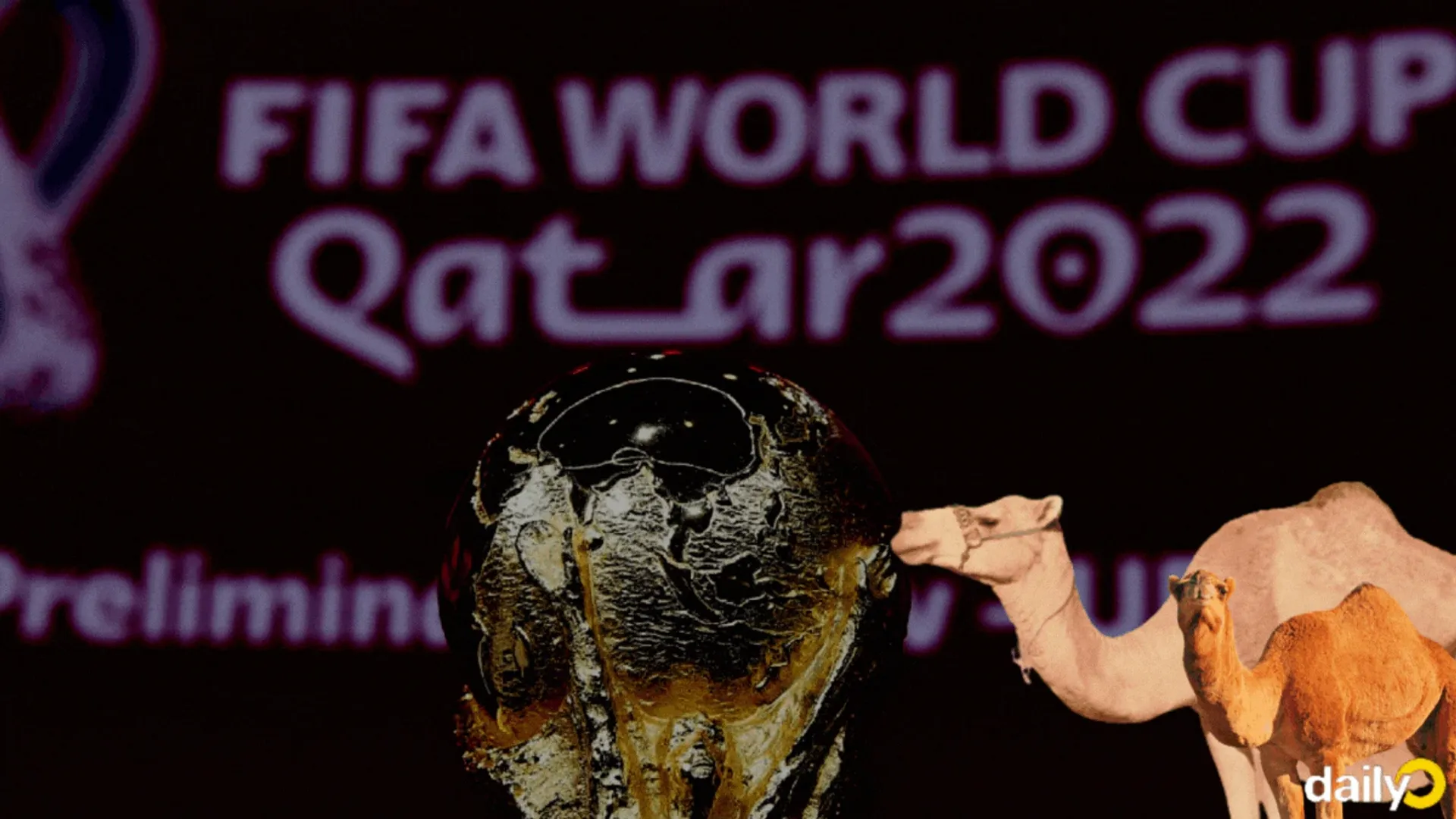 'Camel Flu': WHO warns of virus scare at ongoing FIFA World Cup in Qatar