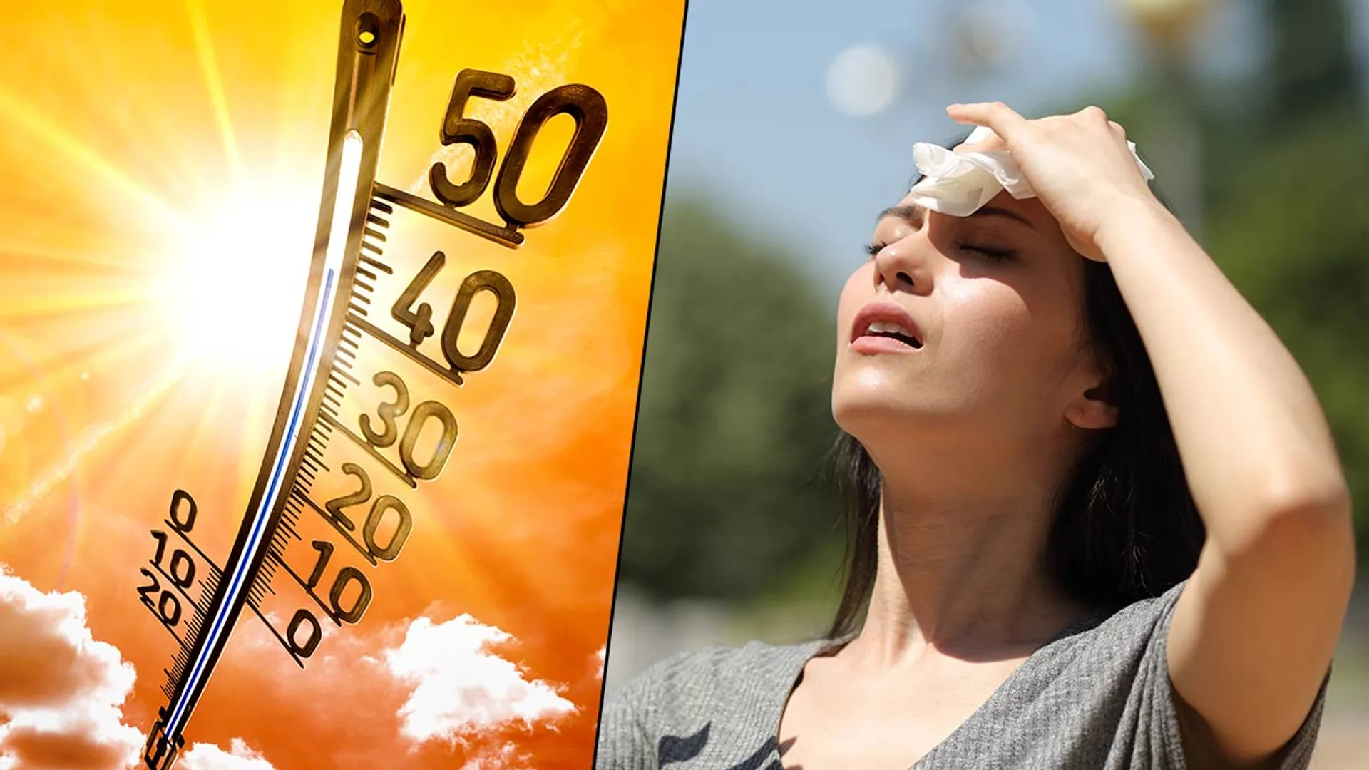 Record heatwaves in India may soon surpass human survivability limit